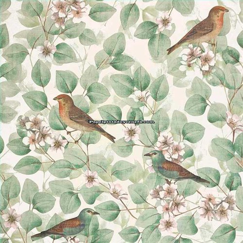 Rollo Papel Pintado SUMATRA Referencia  296402.