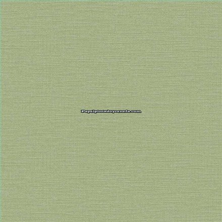 Rollo Papel Pintado GRASSLAND SH Referencia  1562-6701.