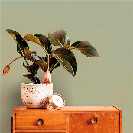 Rollo Papel Pintado GRASSLAND SH Referencia  1562-6701.