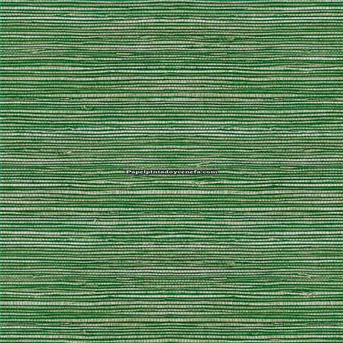 Rollo Papel Pintado GRASSLAND SH Referencia  1562-6740.