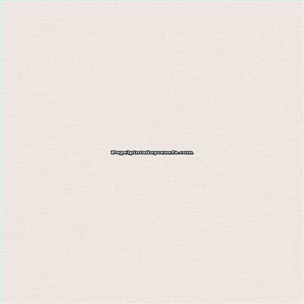 Rollo Papel Pintado OFF THE WALL Referencia  LB25122.