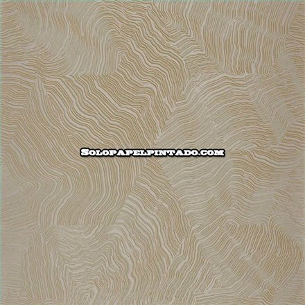 Rollo Papel Pintado ELIXIR Referencia  EXIR202027154.