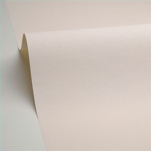 Rollo Papel Pintado NATTE 2 Referencia  NAE2101561210.