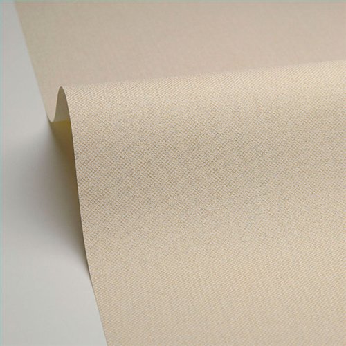 Rollo Papel Pintado NATTE 2 Referencia  NAE2101570026.