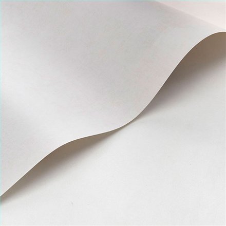 Rollo Papel Pintado SO COLOR 6 Referencia  SOCO80831010.
