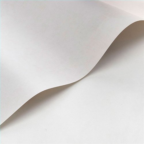 Rollo Papel Pintado SO COLOR 6 Referencia  SOCO80831010.
