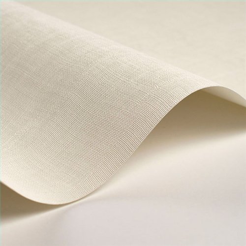 Rollo Papel Pintado SO COLOR 6 Referencia  SOCO200250101.