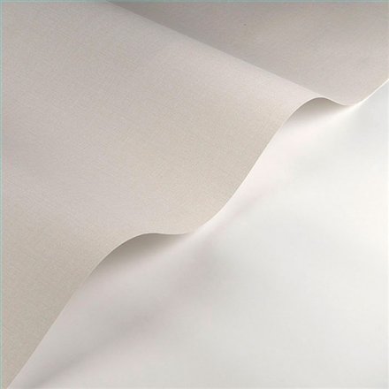 Rollo Papel Pintado SO COLOR 6 Referencia  SOCO200566664.