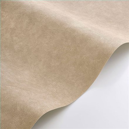Rollo Papel Pintado SO COLOR 6 Referencia  SOCO201491818.