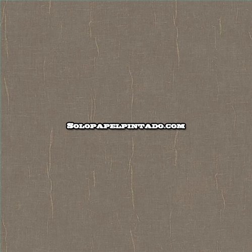 Rollo Papel Pintado SO COLOR 6 Referencia  SOCO200252909.