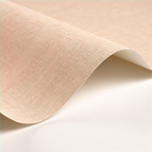 Rollo Papel Pintado SO COLOR 6 Referencia  SOCO200254114.