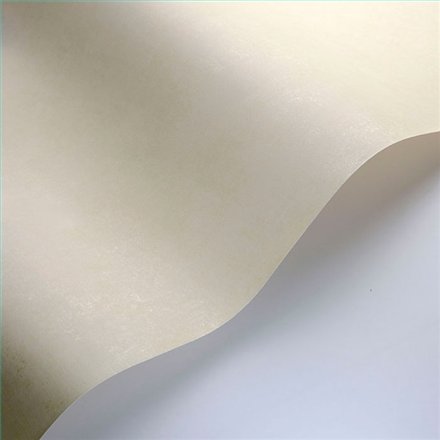 Rollo Papel Pintado SO COLOR 6 Referencia  SOCO80832002.