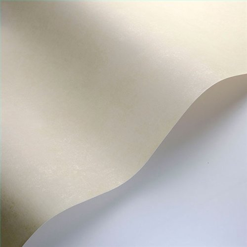 Rollo Papel Pintado SO COLOR 6 Referencia  SOCO80832002.