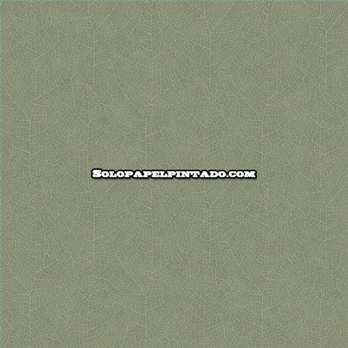 Rollo Papel Pintado SO COLOR 6 Referencia  SOCO201287373.