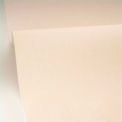 Rollo Papel Pintado MAISON SIMEON Referencia  MSI103221498.