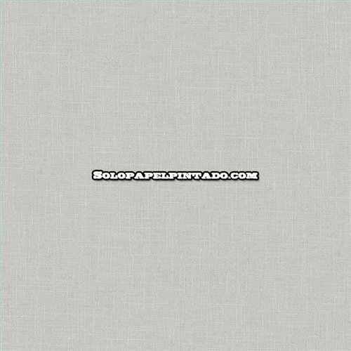 Rollo Papel Pintado BANGO Referencia  BANG-014.
