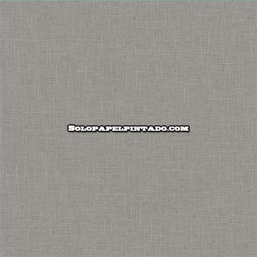 Rollo Papel Pintado BANGO Referencia  BANG-041.