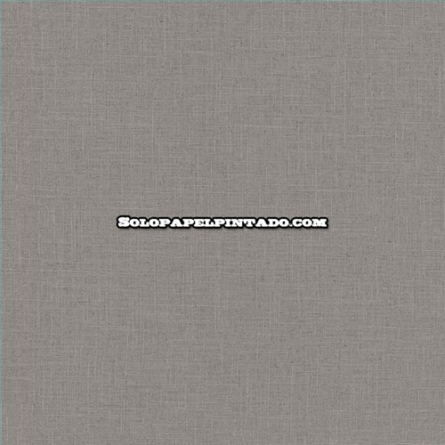 Rollo Papel Pintado BANGO Referencia  BANG-042.