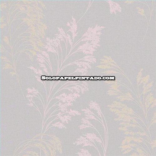 Rollo Papel Pintado OBSESSION CARDOSO Referencia  BS2343.
