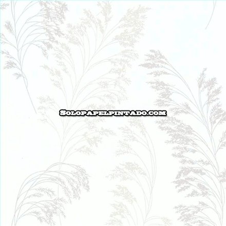 Rollo Papel Pintado OBSESSION CARDOSO Referencia  BS2342.