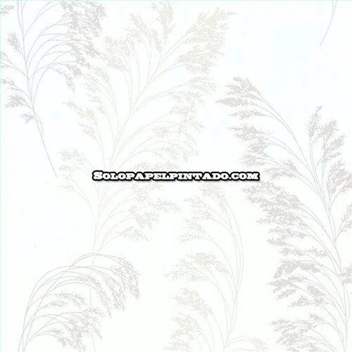 Rollo Papel Pintado OBSESSION CARDOSO Referencia  BS2342.