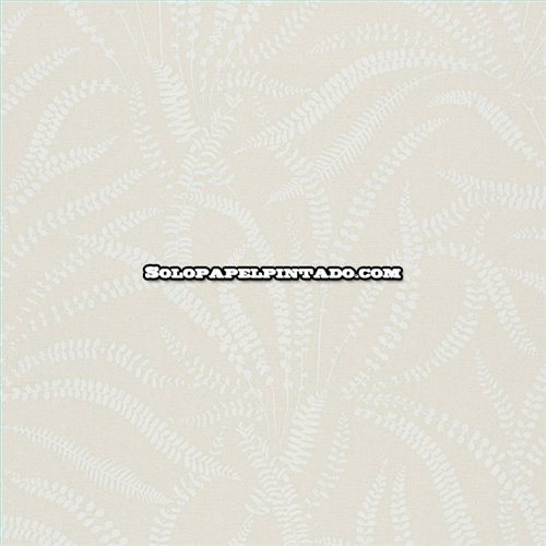 Rollo Papel Pintado OBSESSION CARDOSO Referencia  BS2504.