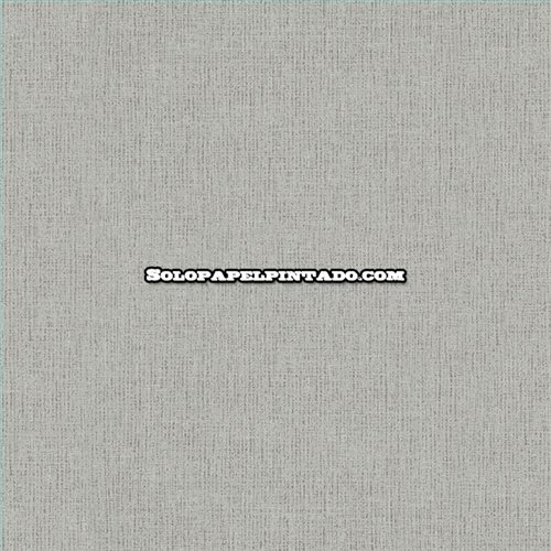Rollo Papel Pintado OBSESSION CARDOSO Referencia  BS2432.
