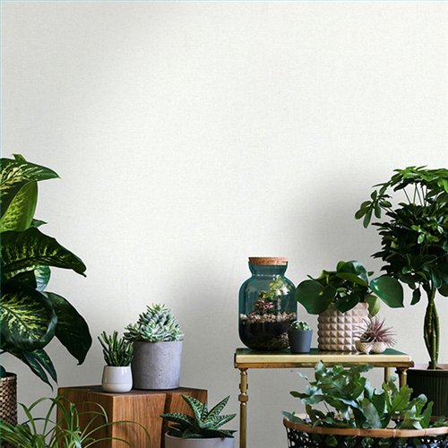 Rollo Papel Pintado OBSESSION CARDOSO Referencia  BS2345.