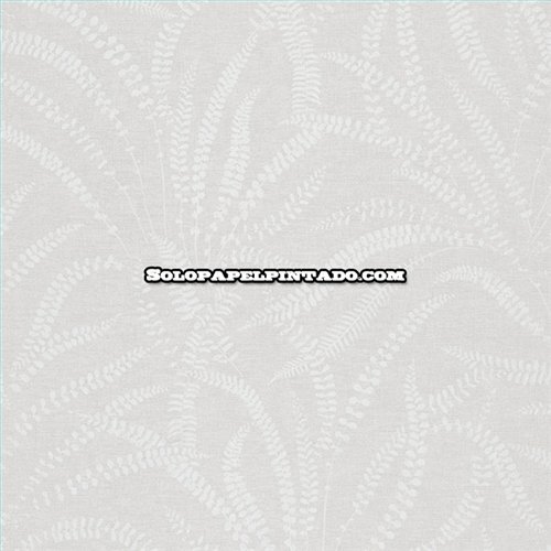 Rollo Papel Pintado OBSESSION CARDOSO Referencia  BS2507.