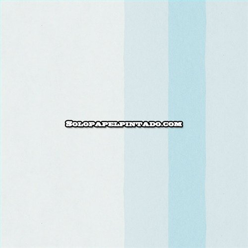 Rollo Papel Pintado OBSESSION CARDOSO Referencia  BS2562.