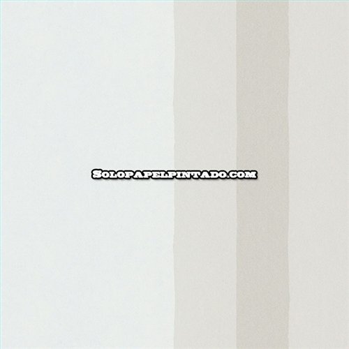 Rollo Papel Pintado OBSESSION CARDOSO Referencia  BS2564.