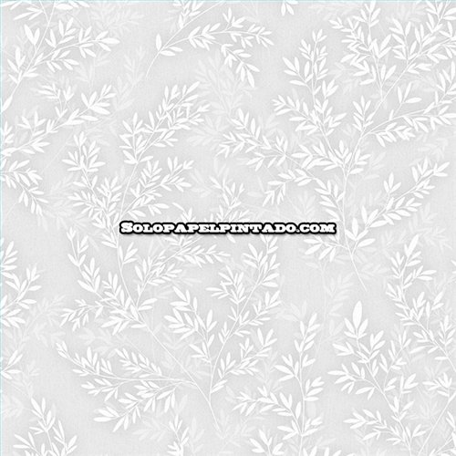 Rollo Papel Pintado OBSESSION CARDOSO Referencia  BS9025.