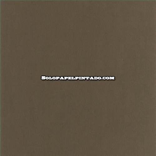 Rollo Papel Pintado HANSAN Referencia  HANS202522830.
