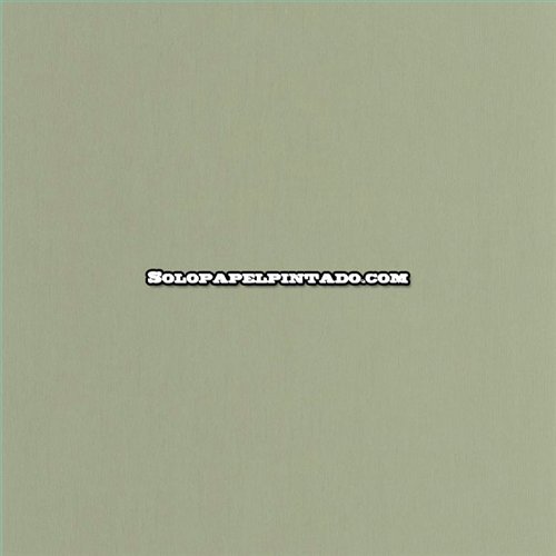 Rollo Papel Pintado HANSAN Referencia  HANS202527681.