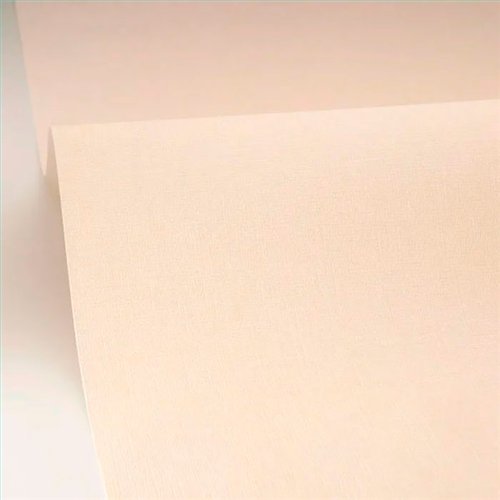 Rollo Papel Pintado MIX & STRIPES Referencia  MIP103221498.