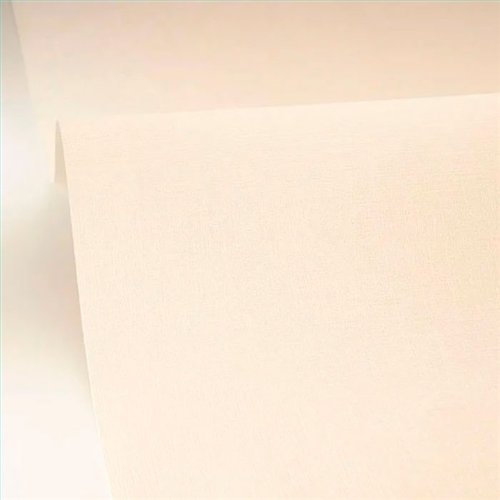 Rollo Papel Pintado MIX & STRIPES Referencia  MIP103221050.