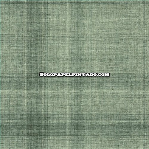 Rollo Papel Pintado BALI TROPICAL Referencia  AG60504.