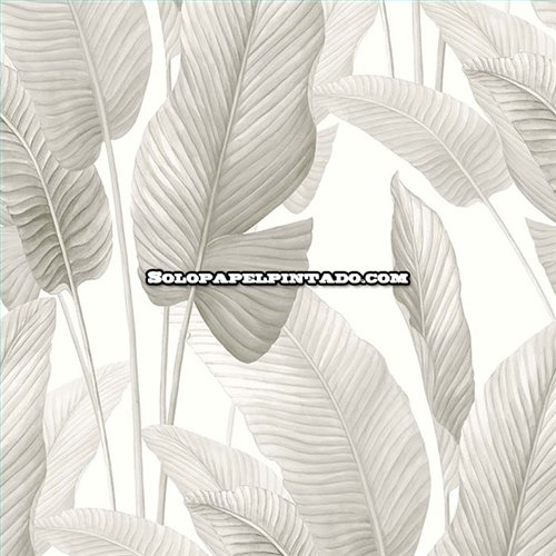Rollo Papel Pintado BALI TROPICAL Referencia  AG60008.