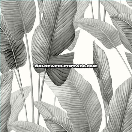 Rollo Papel Pintado BALI TROPICAL Referencia  AG60010.