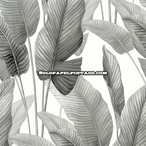 Rollo Papel Pintado BALI TROPICAL Referencia  AG60010.