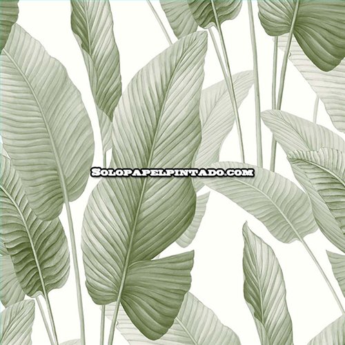 Rollo Papel Pintado BALI TROPICAL Referencia  AG60004.