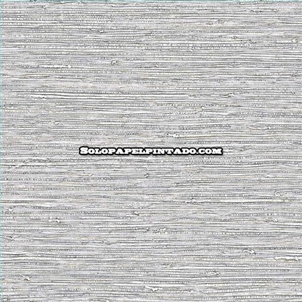 Rollo Papel Pintado BALI TROPICAL Referencia  AG61508.