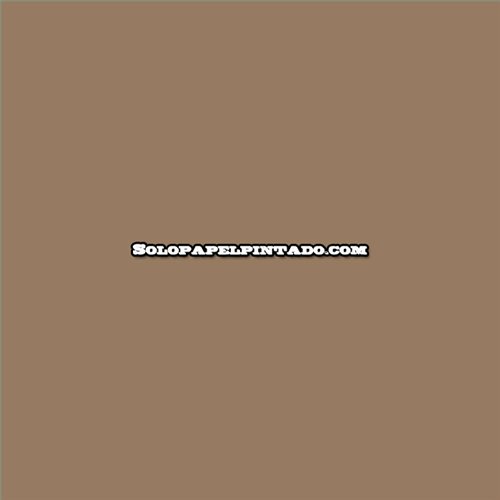 Rollo Papel Pintado INES  Referencia  222-10.