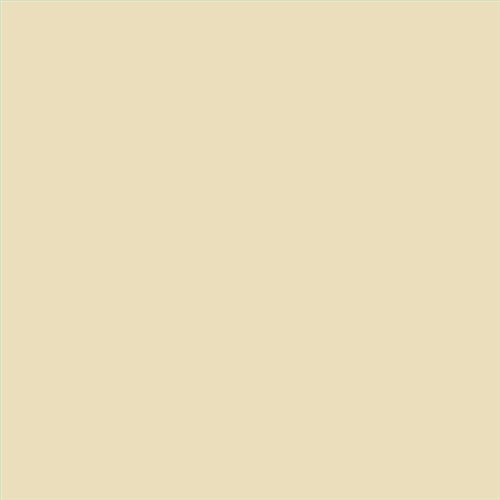 PINTURA PLASTICA MATE JUNORAL B5 GAMA ALTA (OFERTA)  COLOR RAL 1015