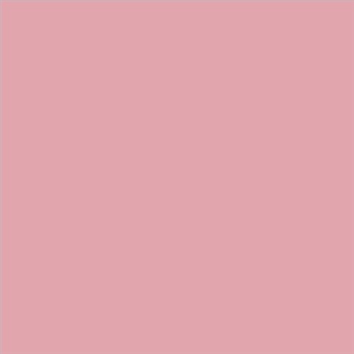 PINTURA PLASTICA MATE JUNORAL B5 GAMA ALTA (OFERTA)  COLOR RAL 3015