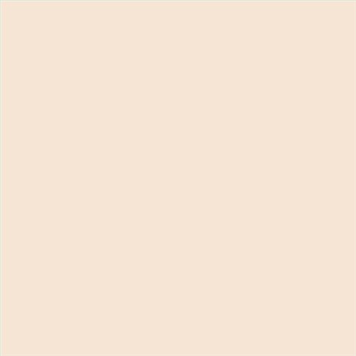 PINTURA PLASTICA MATE JUNORAL B5 GAMA ALTA (OFERTA)  COLOR S 0505-Y50R