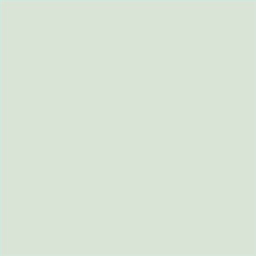 PINTURA PLASTICA MATE JUNORAL B5 GAMA ALTA (OFERTA)  COLOR S 0907-G20Y
