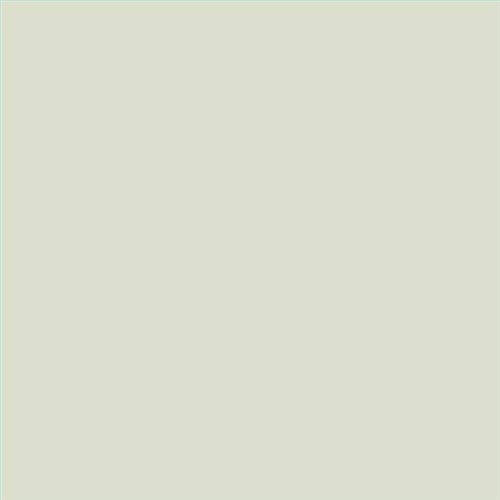 PINTURA PLASTICA MATE JUNORAL B5 GAMA ALTA (OFERTA)  COLOR S 1005-G50Y