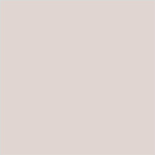 PINTURA PLASTICA MATE JUNORAL B5 GAMA ALTA (OFERTA)  COLOR S 1005-R