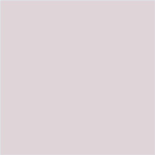 PINTURA PLASTICA MATE JUNORAL B5 GAMA ALTA (OFERTA)  COLOR S 1005-R20B